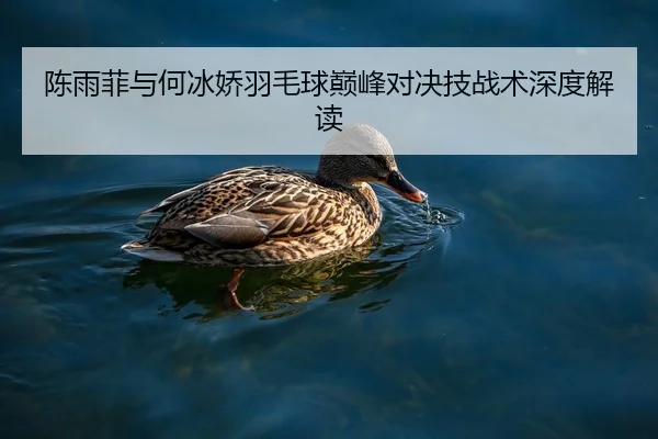 陈雨菲与何冰娇羽毛球巅峰对决技战术深度解读 - s16esports